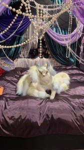 10月孤品優惠*₊ .•＊限定絕版＊