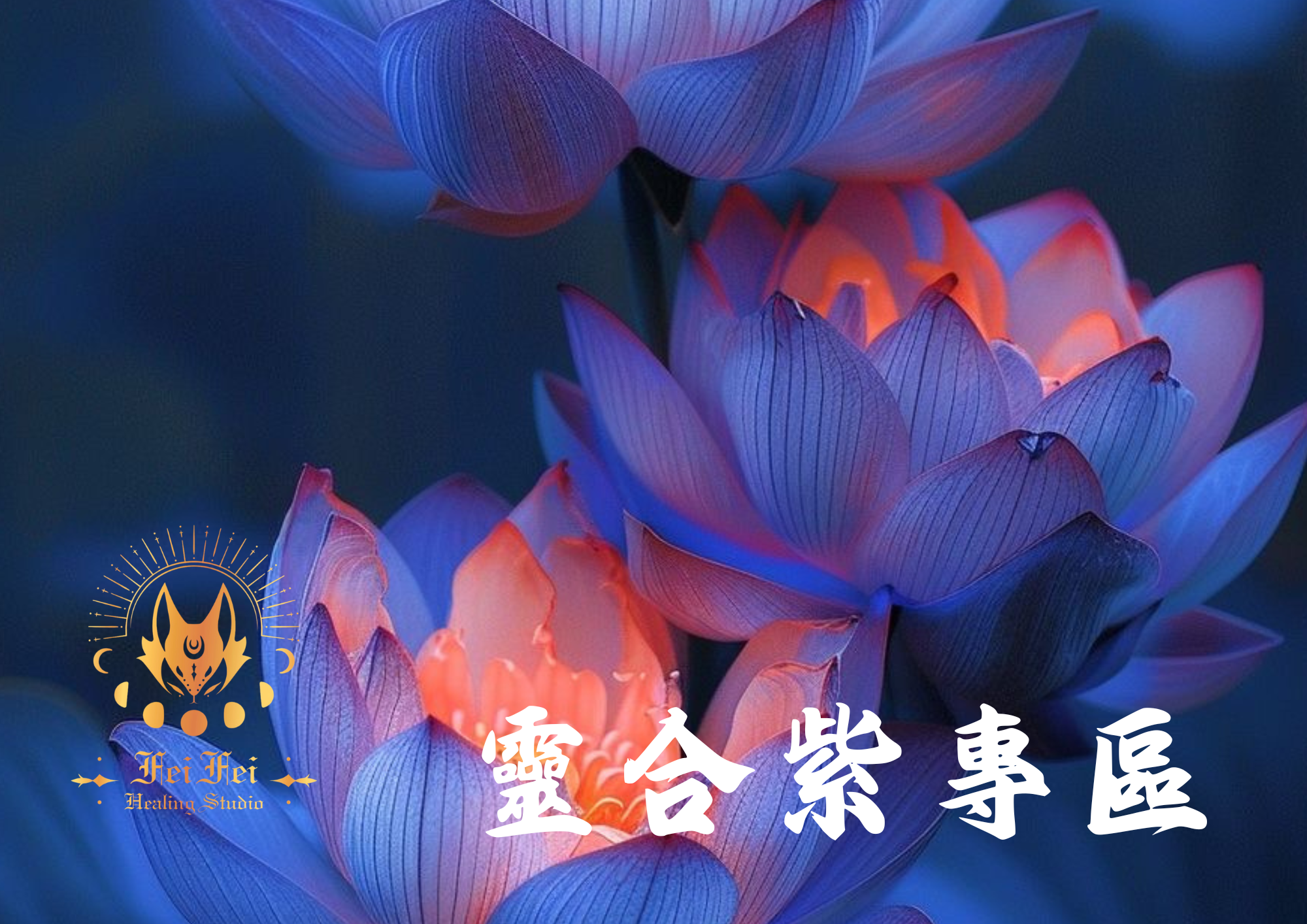 ✦☾⋆˚⊹⟡靈合紫⟡⊹˚⋆☽✦